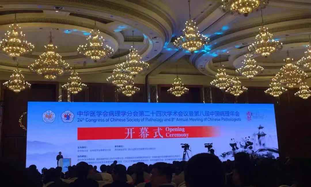 鍙傚睍绗�叓灞婁腑鍥界梾鐞嗗勾浼�